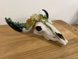 Small Bull Skull Cactus Wall Ornament - JG073