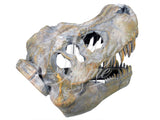 T-Rex Dinosaur Skull Ornament - JG007