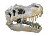 T-Rex Dinosaur Skull Ornament - JG007