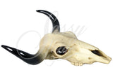 Small Bull - Ram Skull Wall Ornament - JG016