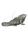 Silver Life Like Iguana Ornament - NY008