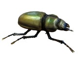 Metallic Lesser Stag Beetle Wall Hanging Ornament - TM004