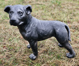 Charcoal Grey Staffordshire Bull Terrier Puppy Ornament - FC059