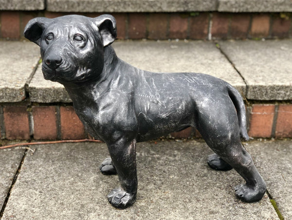 Charcoal Grey Staffordshire Bull Terrier Puppy Ornament - FC059